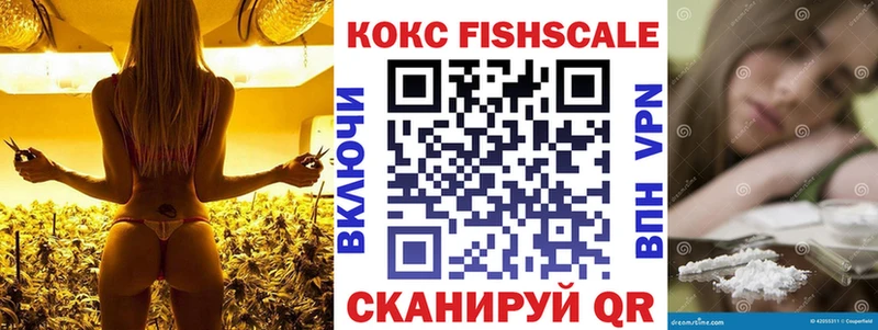 Купить  Кашира  Cocaine Columbia 